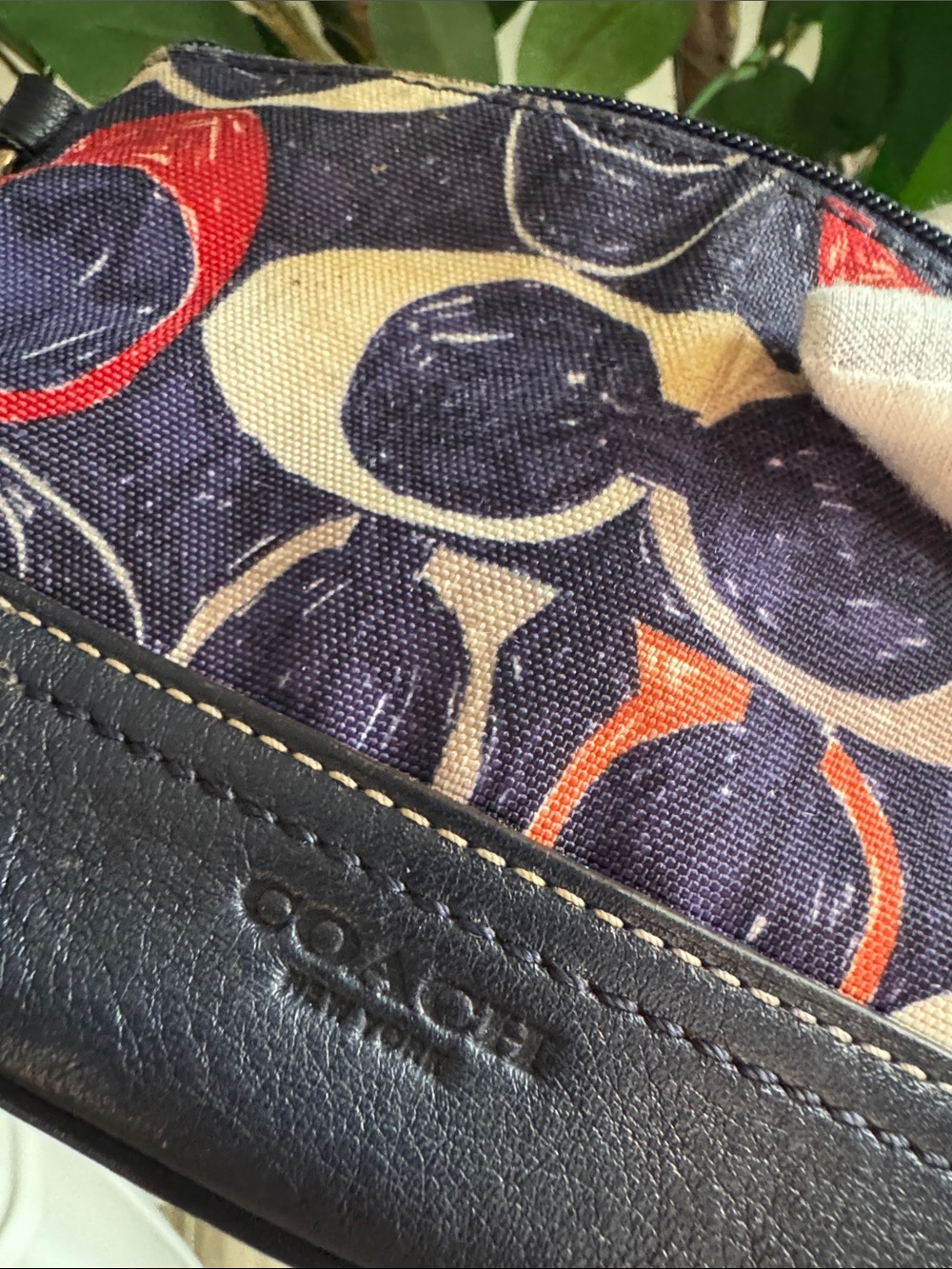 Coach Hamptons Scribble Signature Wristlet - Picture 9 of 10